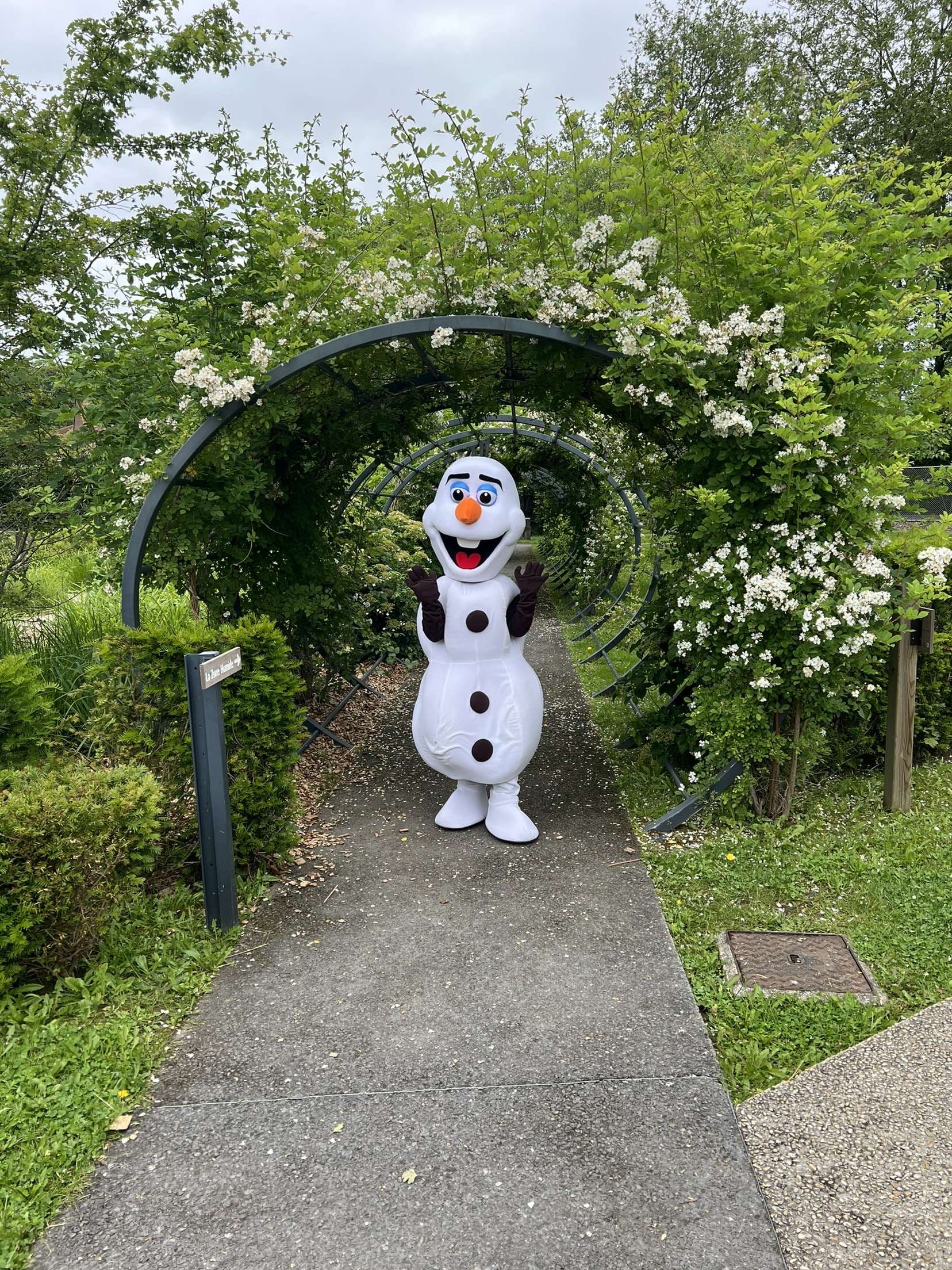 Olaf