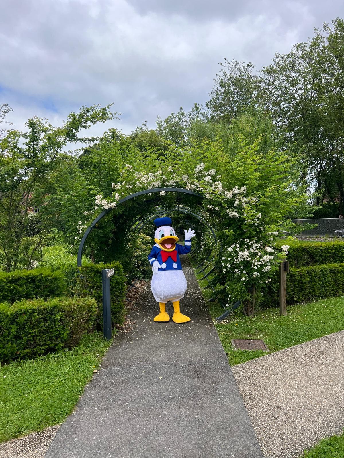 Donald
