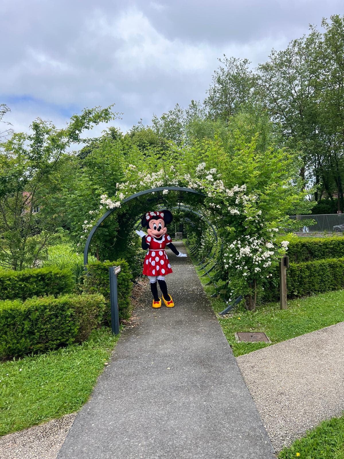 Minnie