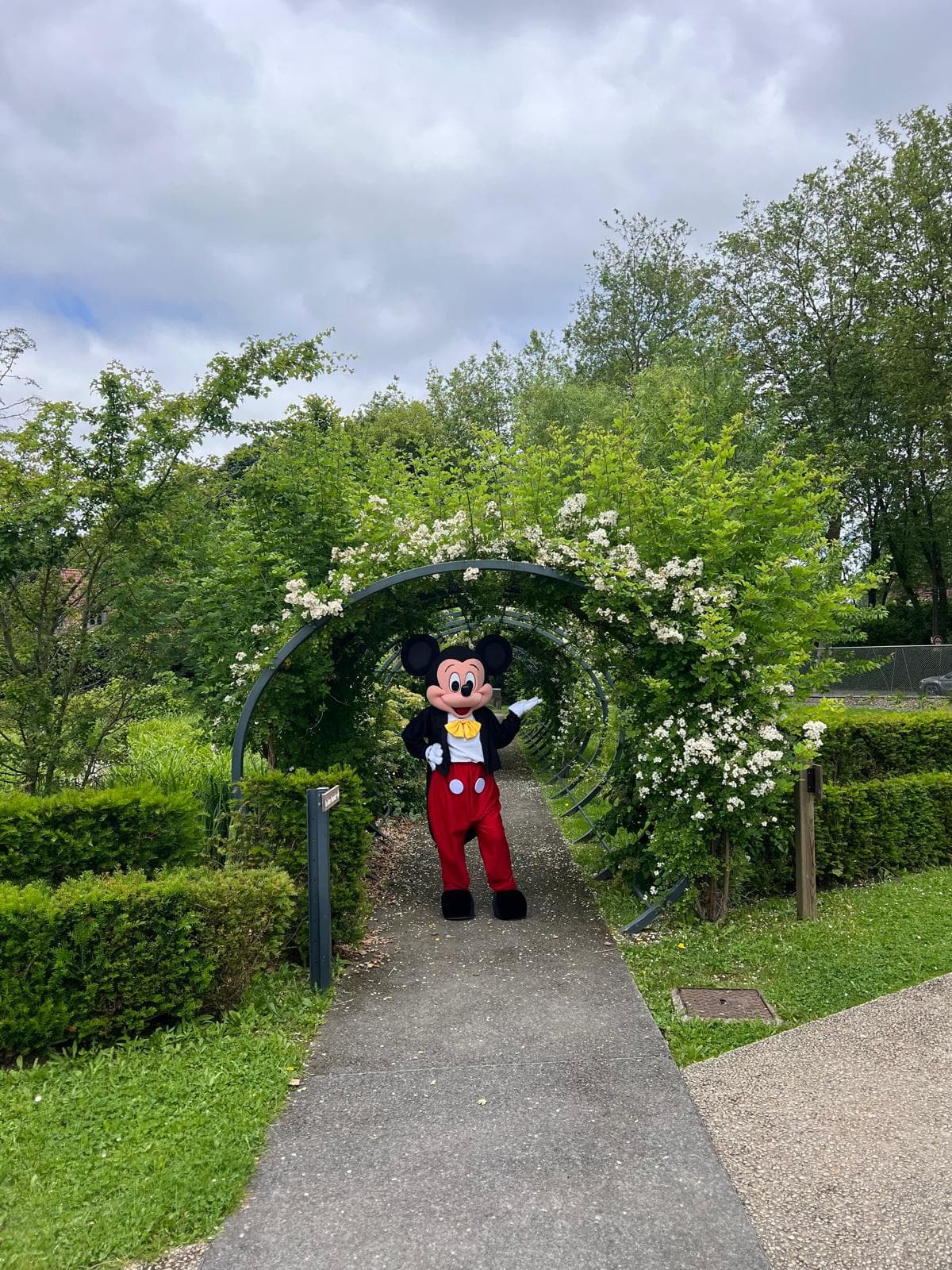 Mickey
